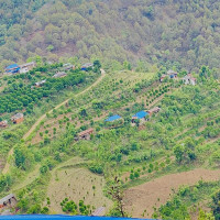 भोजपुरमा फूल उत्पादन घट्यो, माग उच्च