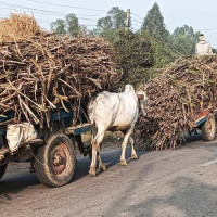 सडक सुरक्षा कानुन : पाँच दशकपछि बल्ल मसौदा