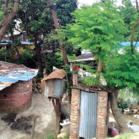 अस्पतालबाट फर्केका बिरामी ठिक पार्दै चौधरी