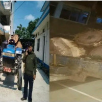 तेक्वान्दो संघ गण्डकी अध्यक्षमा गुरुङ