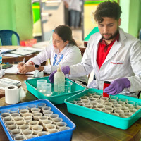 तेक्वान्दो संघ गण्डकी अध्यक्षमा गुरुङ
