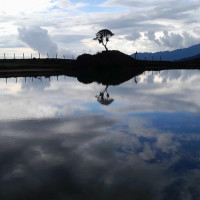 नदीजन्य पदार्थको अवैध उत्खनन् बारे अनुगमन