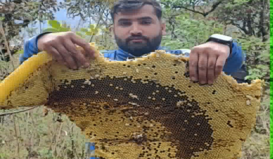ताप्लेजुङको सुपर काबेली जलविद्युत् आयोजनाको सेयर निष्कासन तयारी पूरा
