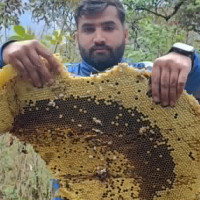 आवासीय बनेपछि कालिका विद्यालयमा विद्यार्थीको आकर्षण