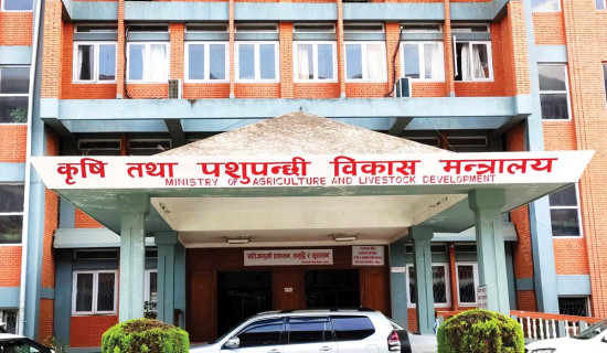 चर्को बत्तीवरपर लाग्दैन घोगा