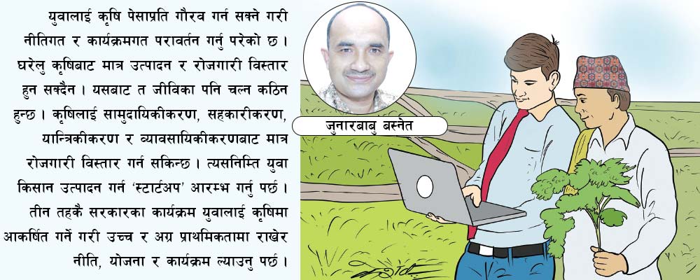 युवा रोजगारीका आयाम