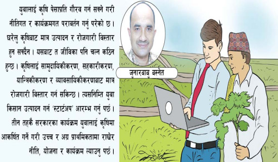 युवा रोजगारीका आयाम