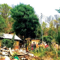 स्याङ्जाका विभिन्न स्थानमा ३६ घण्टादेखि विद्युत अवरुद्ध