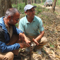 श्रीमतीमाथि कुटपिट आरोपमा श्रीमान पक्राउ