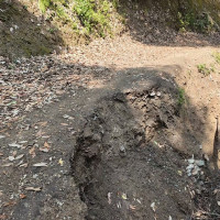 कृत्रिम गन्ध प्रविधिबाट मानव–वन्यजन्तु द्वन्द्व न्यूनीकरण प्रयास