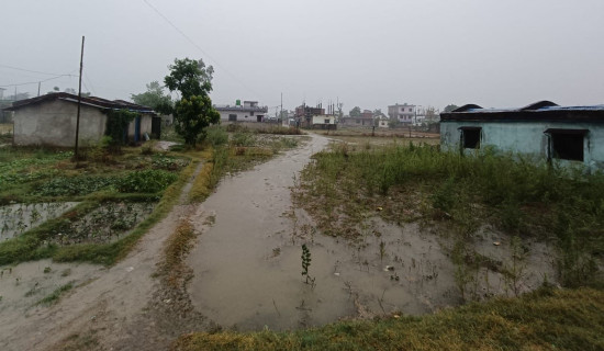 कैलालीमा चार घण्टादेखि निरन्तर वर्षा