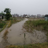 समावेशीकरणको दिशामा नयाँ फड्को : गोरखापत्रद्वारा प्रकाशित वाम्बुले  भाषा