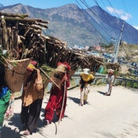 जनताको समस्याप्रति सरकार चिन्तित देखिएन : नेता महर