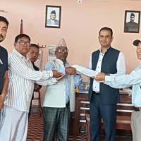 धानबालीमा फड्के कीराको सङ्क्रमण