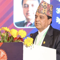 धानबालीमा फड्के कीराको सङ्क्रमण