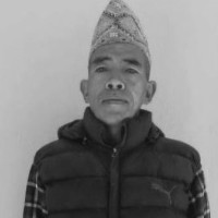वन खाएको पुतलीले कृषिमा समेत असर पुर्‍याउने जोखिम