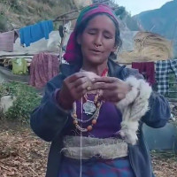 पीपल गाउँको ४० परिवार पहिरोको उच्च जोखिममा