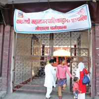 भालुले गरेको क्षतिको राहतका लागि पहल गरिने