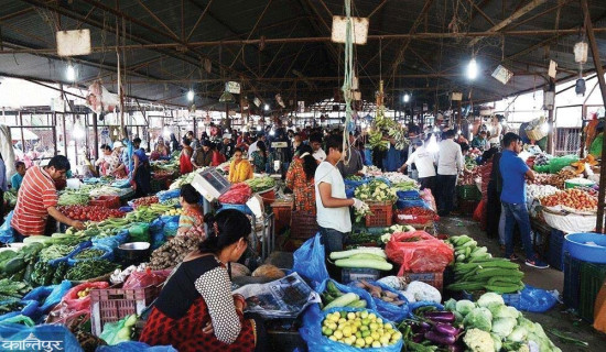 ‘पर्ख र हेर’ मा लगानीकर्ता