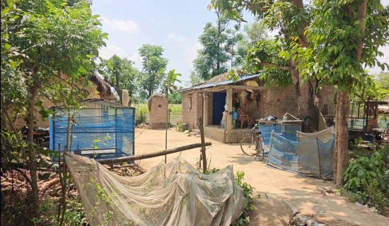 कृषिउपजको थोक मूल्य वृद्धि