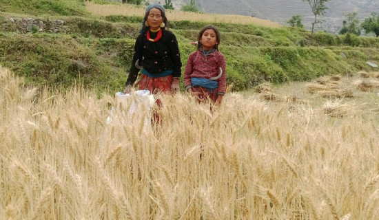 सर्लाहीमा मोटरसाइकलको ठक्करबाट वृद्धको मृत्यु