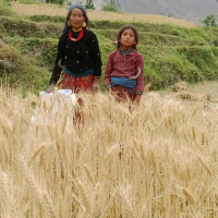 फोहोर व्यवस्थापनको चुनौती बढ्दै