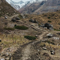 पहिराको जोखिममा रिगाउँ, विद्यालय बन्द