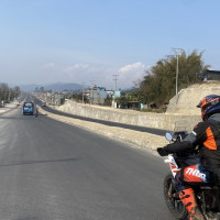 मोती पाइन सक्छ पोखराका तालमा
