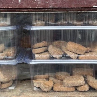 धौलागिरि प्रादेशिक अस्पतालमा विशेषज्ञ सेवा
