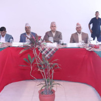 विश्वकप लिग–२ : गुल्सनले पाँच विकेट लिएको खेलमा, ओमानमाथि नेपालको सानदार जित