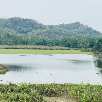 गोङ्गबुस्थित नयाँ बसपार्कमा यात्रु
