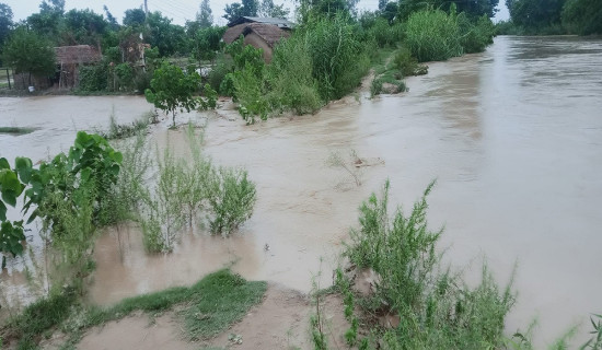 बाढी प्रभावितलाई बासकै चिन्ता