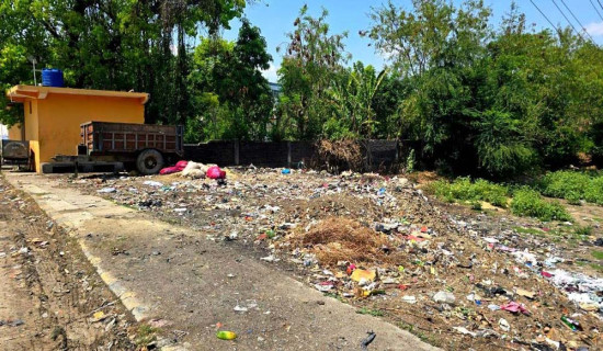 धोबीताल संरक्षण गर्न माग