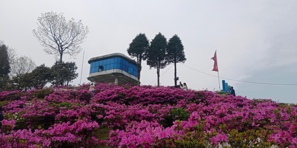 blog