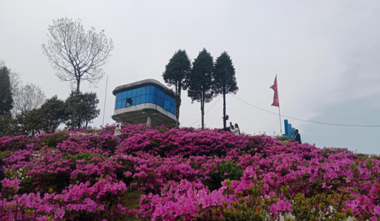 मुख्य सडक नै जीर्ण अवस्थामा