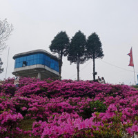 लेक लागेर नेपाली तीर्थयात्रीको मृत्यु