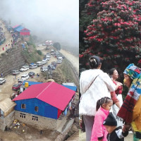 श्रीमानको कुटाइले एक महिला घाइते