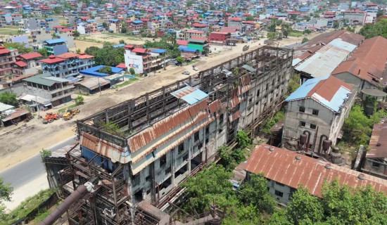 श्रीमानको कुटाइले एक महिला घाइते