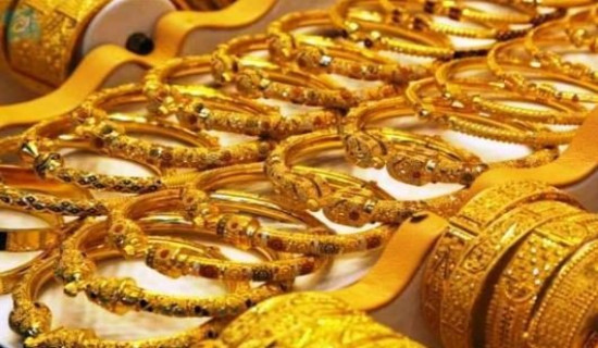 बागलुङ बजारका बालबालिकाको पोषण लेखाजोखा