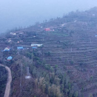 सडकबाट उद्धार गरिएका २८ जना  होल्डिङ सेन्टरमा