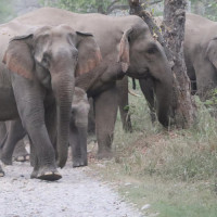 नागरिकको अनुहारमा खुसी नपुगेसम्म गणतन्त्रको उद्देश्य पूरा हुँदैनः मुख्यमन्त्री