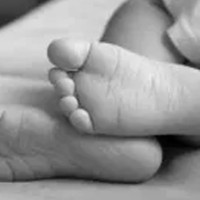 गोरखापत्र  लोकतान्त्रिक मूल्यको पहरेदार  बनिरहोस् : राष्ट्रपति पौडेल