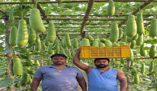 प्रधानसेनापति र फ्रान्सेली कार्यवाहक राजदूतबीच भेटवार्ता