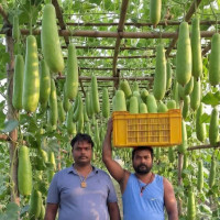 सार्वजनिक यातायातको भाडा बढ्यो