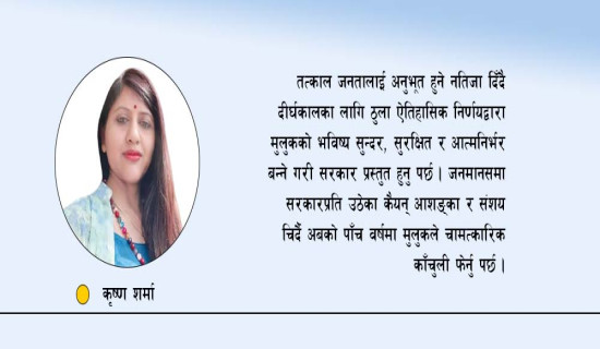 सरकारका कार्यभार