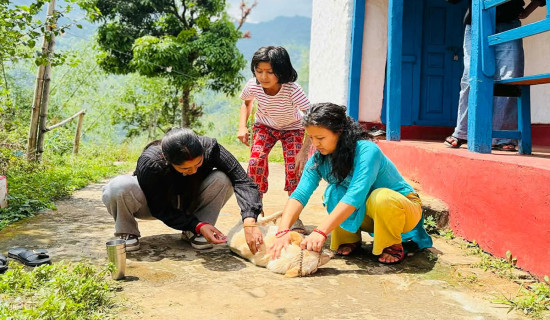 तारा एयरको विमान दुर्घटनाग्रस्त अवस्थामा भेटियो