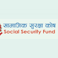 डिजेलका सवारी प्रदूषण मापदण्डविपरीत