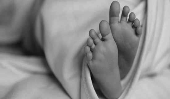 चिर्ने क्रममा लडेको काठ लागेर बालकको मृत्यु