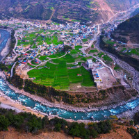 पीडाचक्र