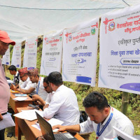 पीडाचक्र